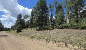 Plesant Valley lot 1302, Angel Fire, NM 87710