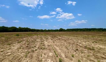 Rocky Creek Road, Ashford, AL 36312