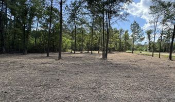 0 LA-40 Tract 3, Albany, LA 70711