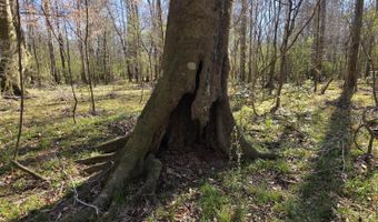 Bogue Chitto Road, Bogue Chitto, MS 39629