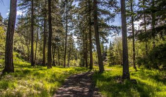 87 Rock Ridge Way, Bigfork, MT 59911