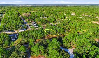 2428 Mabry St, Alva, FL 33920