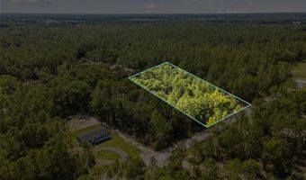 Tbd NW 16TH AVENUE, Bell, FL 32619