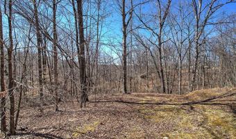 497 Cherokee Trl, Ball Ground, GA 30107