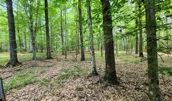 Tbd Bahalia Rd, Brookhaven, MS 39601