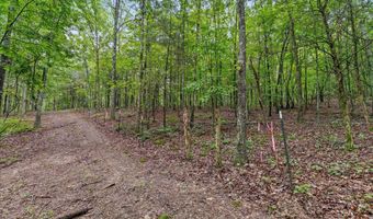12706 Cranfield Rd, Birchwood, TN 37308