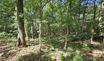 65 Acres Plainview Rd, Anderson, MO 64831