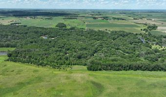 23740 Hickory Ave, Allison, IA 50602