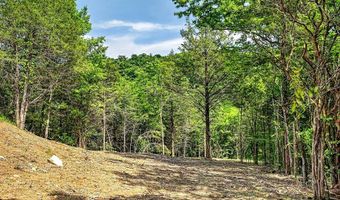 2926 Bryant Ridge Rd, Baxter, TN 38544