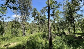 3772 E New Roe Rd, Adolphus, KY 42120
