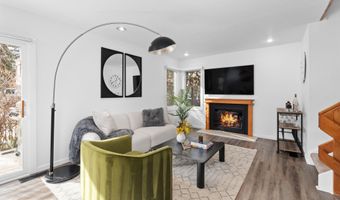 814 W Bleeker St C-1, Aspen, CO 81611