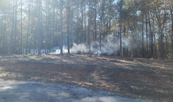 252 Pebble Cove Rd, Abbeville, AL 36310