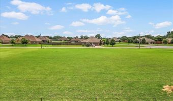 131 Brock Ln, Millsap, TX 76066