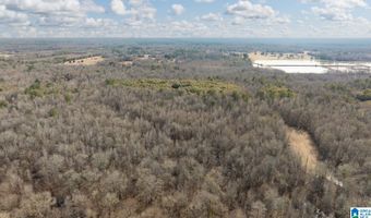 BRUSH CREEK DRIVE, Akron, AL 35441
