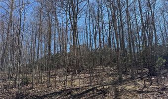 Lot # 70 Tall Tree Lane, Banner Elk, NC 28604