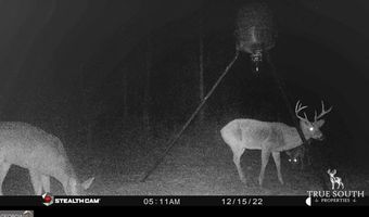 0 John S Horton, Adrian, GA 31002