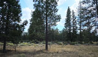 Swan Drive 16 & 17, Bonanza, OR 97623