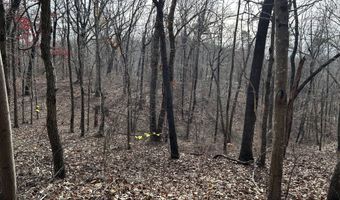 Highway 105, Baldwin, GA 30511