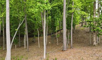 180 Laurel Ridge Ln, Ball Ground, GA 30107