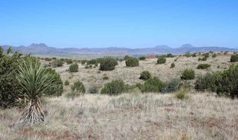 TR 111 Sierra La Rana, Alpine, TX 79830