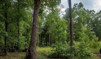 105 Dunwoody Pl, Blythewood, SC 29016