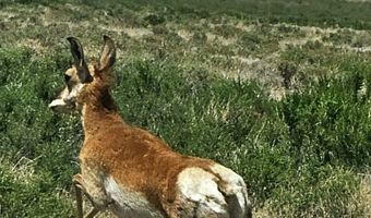 400 Cold Spring Point Rd, Crescent Valley, NV 89821