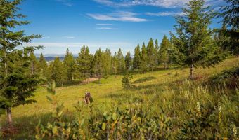 43 Elk Meadows Ln, Anaconda, MT 59711