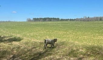 0 Tervin Mill Rd, Andalusia, AL 36421