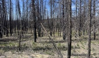 Off-Hicks Road, Bly, OR 97622
