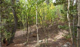 452 QUARTZVILLE Rd, Alma, CO 80420