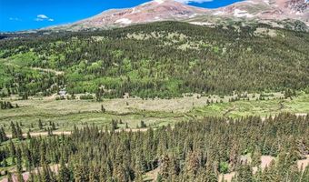 553 Nuthatch Dr Lot 18, Alma, CO 80440