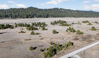 10201 Packsaddle Rd, Cascade, ID 83611