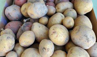 4775 S 50th Rd, Aldrich, MO 65601