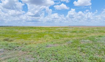 CR 260, Anson, TX 79501