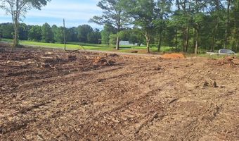 709 Old Pinola Braxton Rd, Braxton, MS 39044