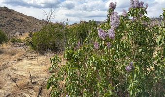 439 Redtail Ridge Way, Bellvue, CO 80512