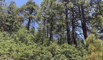 TBD Unit 3 Forest Lakes, Bayfield, CO 81122