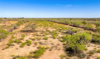 4246 Rakowitz Rd, Adkins, TX 78101