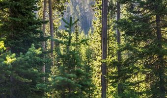 40 Swift Bear, Big Sky, MT 59716