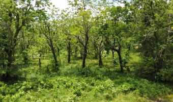 JONES RD PVT TX, Angleton, TX 77515