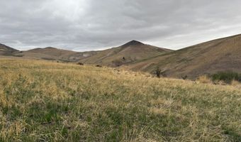76 Outlaw Trial, Anaconda, MT 59711