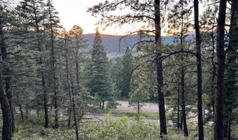 141 Afv N Back Basin Rd, Angel Fire, NM 87710