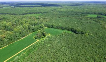 60 Ac Woods Cross Rd, Gloucester, VA 23061