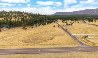 440 2104, Alpine, AZ 85920