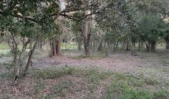SE BROWN Road, Arcadia, FL 34266