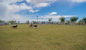 39531 N WHITE TAIL Ln, Anthem, AZ 85086