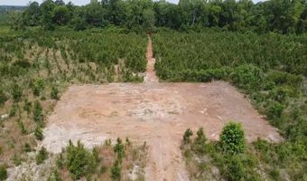 Attadale Rd lot 2, Blenheim, SC 29516