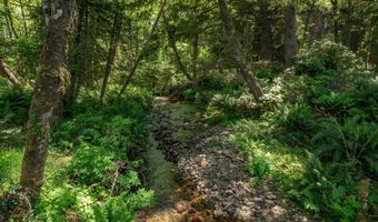 Shark Creek Ln, Arch Cape, OR 97102