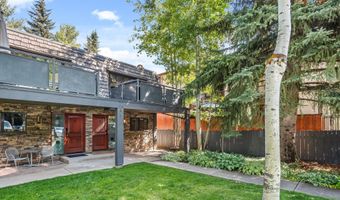 124 E Durant Ave 1, Aspen, CO 81611