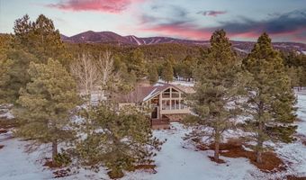 71 Halo Pines Ter, Angel Fire, NM 87710